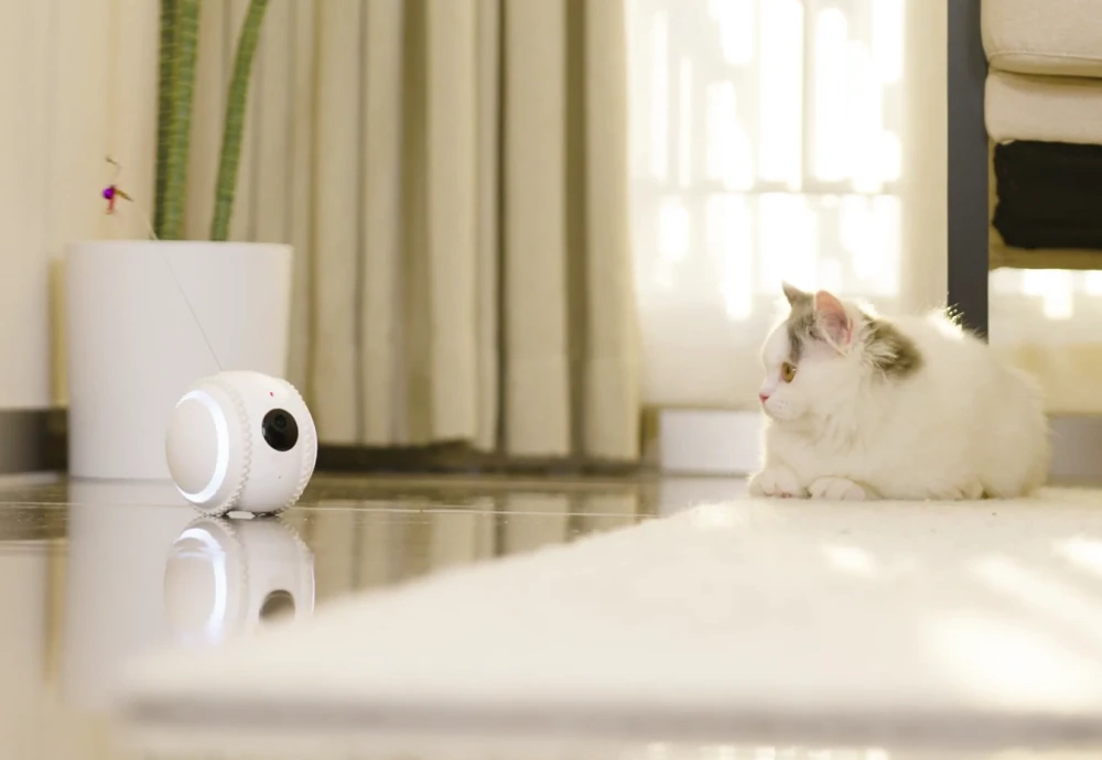 home camera for pets