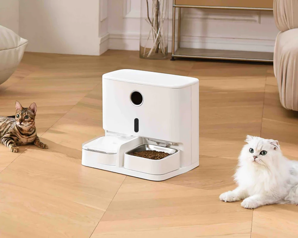 automatic feeder for dogs